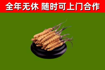 莲湖区烟酒回收冬虫夏草.jpg